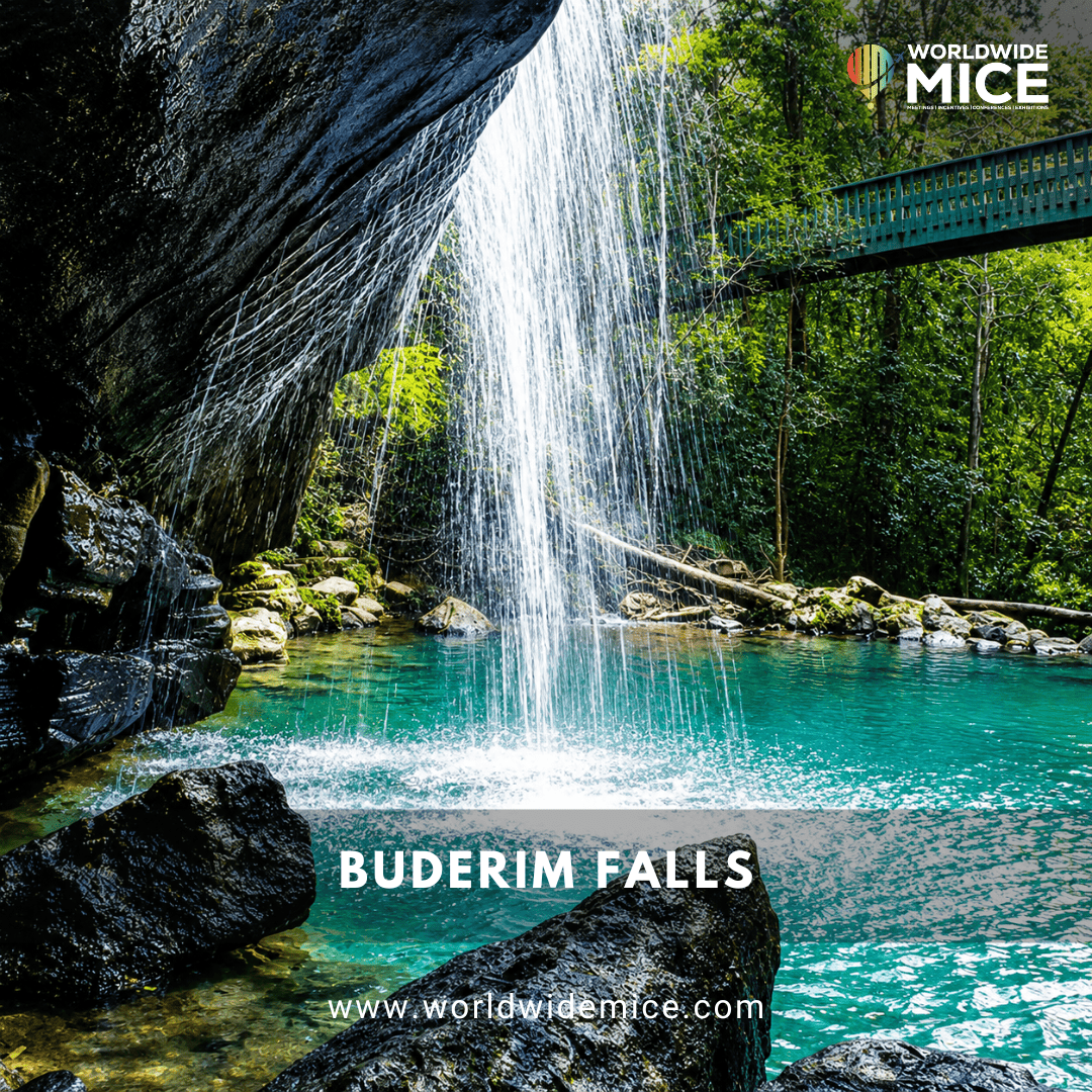 Buderim Falls